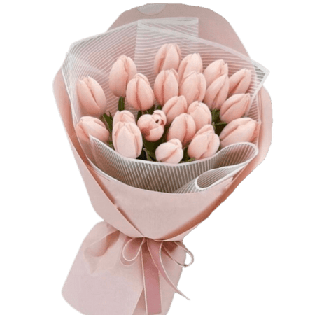 tulipani rosa