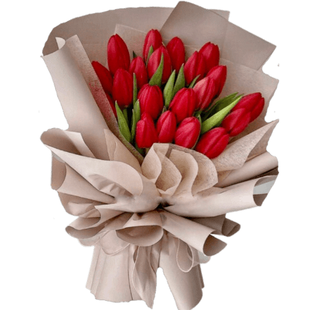 BQ tulipani rossi