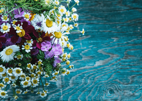 I fiori dell’estate